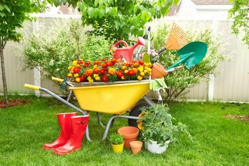 Sustainable lawn care practices