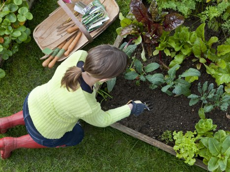 Garden maintenance team demonstrating tactile plant identification
