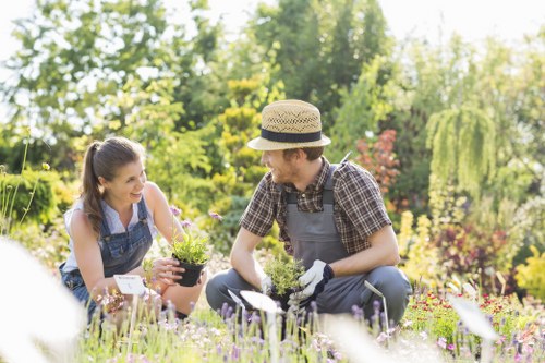 Team discussing a free on-site garden maintenance quote at a Victorian property