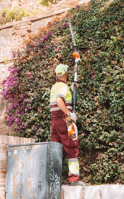 A gardener wearing a beige cap, high-visibility vest, and maroon work pants operates a long-reach hedge trimmer to trim a densely foliaged shrub with small, pink, and green leaves. The shrub is situat