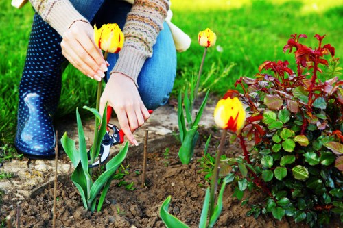 Mulching garden beds in New Cross