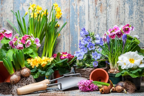 Watering system for garden maintenance in New Cross